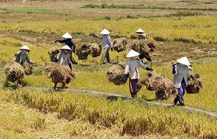 Vì sao sản phẩm skincare Hàn Quốc luôn 