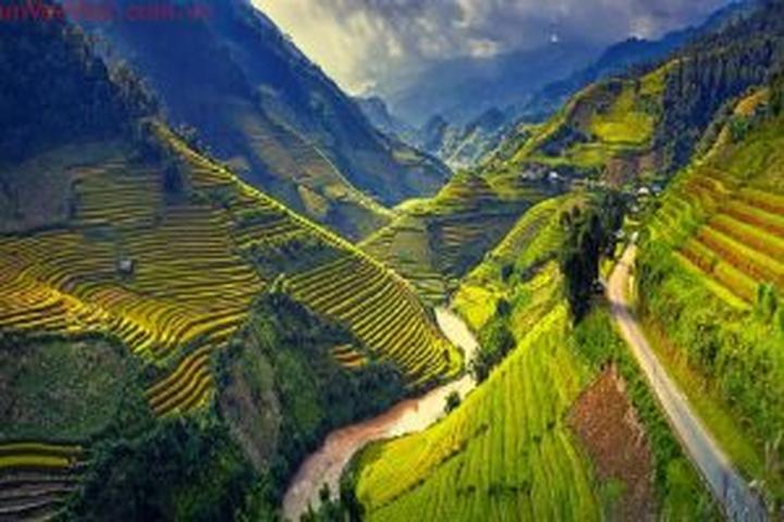 Chuyên gia Hotspot Matrix phân tích: Tưởng thịt bò là 