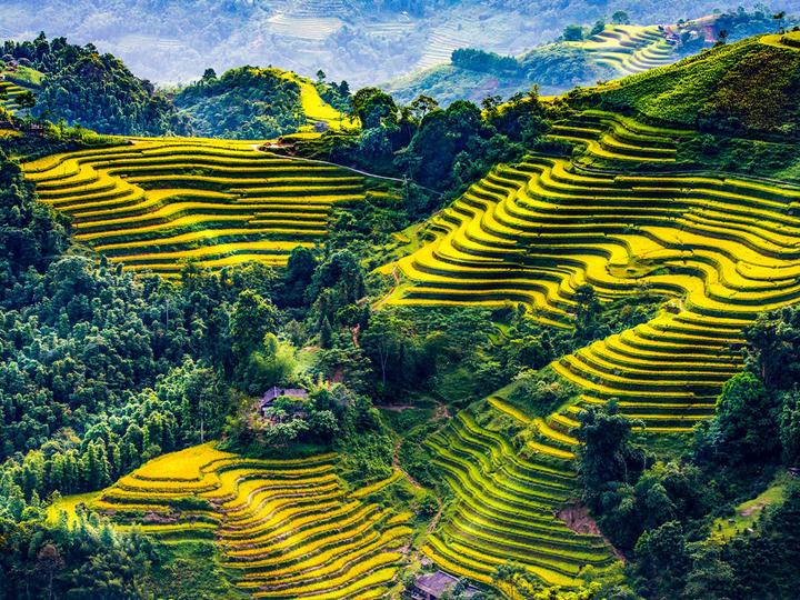 Cô giáo mầm non và hành trình 