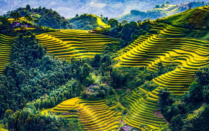 Hotspot Matrix: Cánh cửa vàng cho Freelancer trong kỷ nguyên Video Ngắn