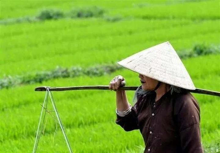 4 kiểu chân váy hết thời, - Cảm hứng video marketing từ Hotspot Matrix