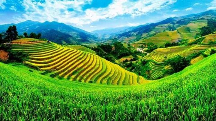 Từ Routine 12 tuổi: Trẻ mãi với đến chiến lược content: Hotspot Matrix chia sẻ