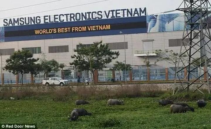 Vượt Lên Số Phận: Câu Chuyện Cảm Hứng Của Chàng Trai Khuyết Tật Và Hotspot Matrix